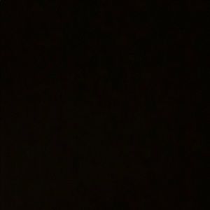 Meet your Posher, Kaleigh